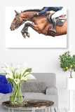 Horse Jump