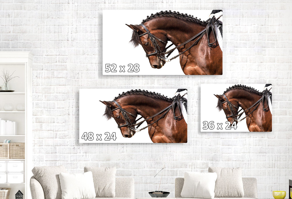 Posing Pony Profile