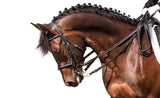 Posing Pony Profile