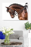 Posing Pony Profile