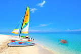 Sailboat and Turtle