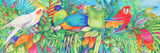 Parrot Party