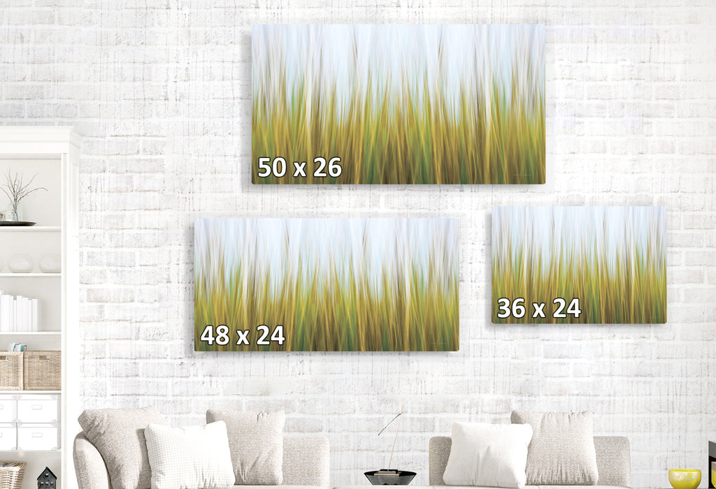 Soft Seagrass