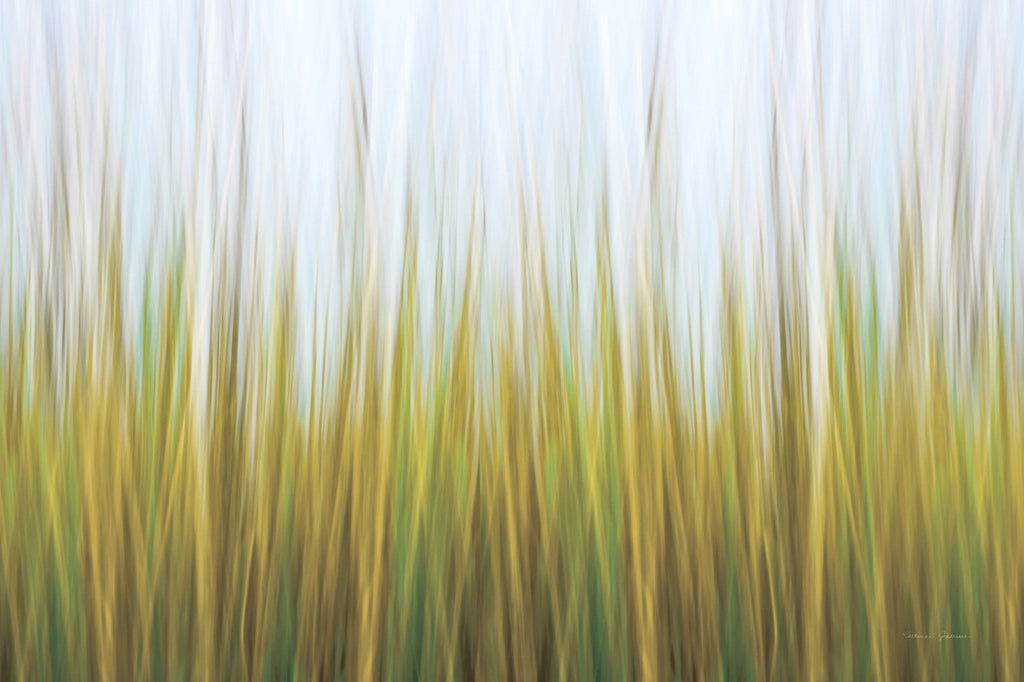 Soft Seagrass