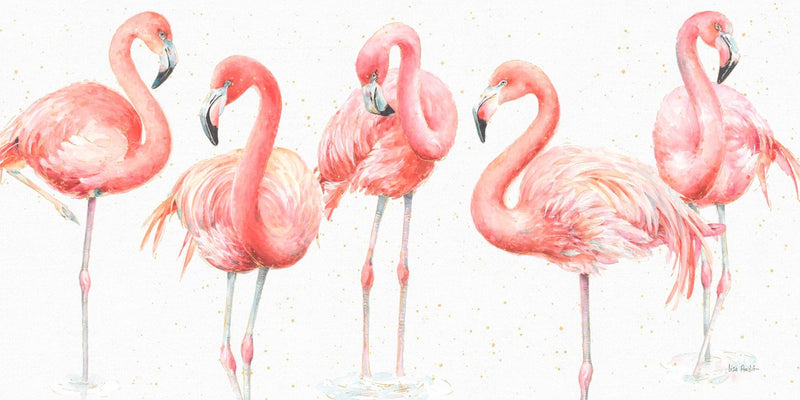 Cinco Flamingo!