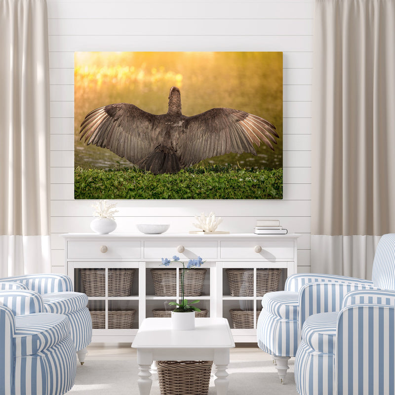 Beautiful Bird Spreading its Wings into a Gorgeous Sunset