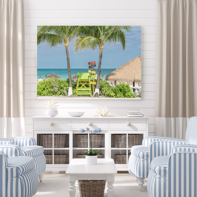 Caribbean Ocean and Palm Tree Views