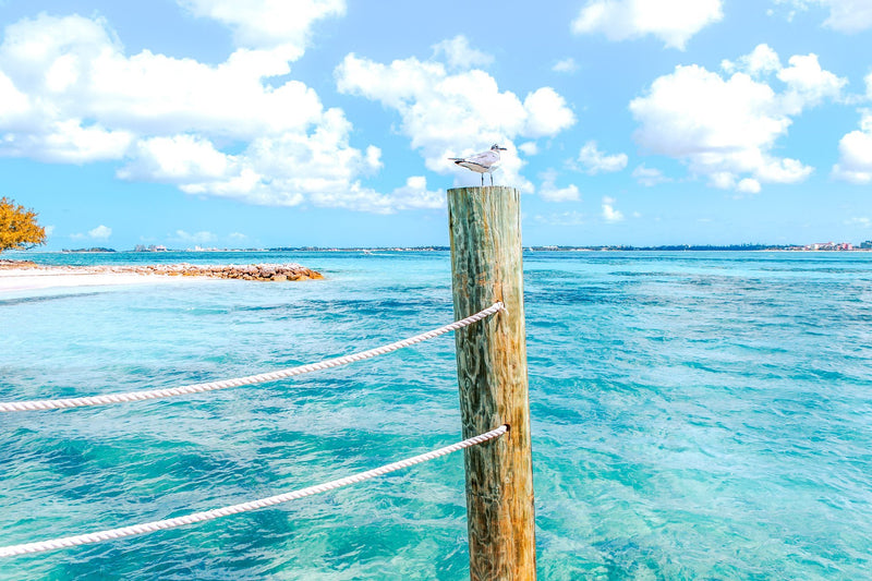 Crystal Blue Caribbean View from Pier
