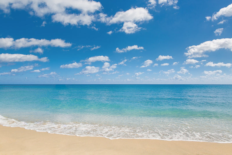      water     Wall Art     waiting room     vibrant blue     vibrant     sunset     South Beach     sand     relaxing     prints     playtime     Office     ocean     deep blue     cool blue     cool     colorful     clean beach     Canvas     blue sky     blue skies     blue     beach     art