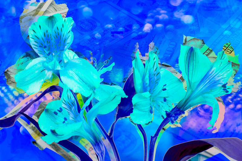 blue,      Wall Art     waiting room     vibrant     shiny     prints     office art     Office     money     metal print     iris     flowers     floral     financial office     financial     currency     colorful     checkup     canvas print     Canvas     bills     benjamins     benjamin franklin     art