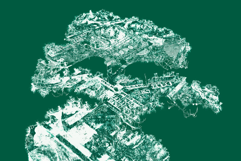      Wall Art     waiting room     tree     prints     office art     Office     money tree     money     metal print     iris     flowers     floral     financial office     financial     currency     canvas print     Canvas     bills     benjamins     benjamin franklin     art