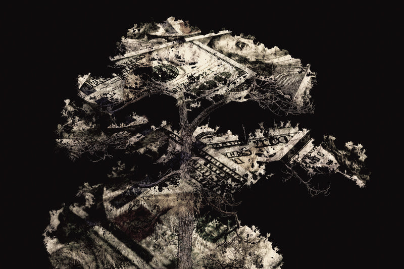      Wall Art     waiting room     tree     prints     office art     Office     money tree     money     metal print     iris     flowers     floral     financial office     financial     currency     canvas print     Canvas     bills     benjamins     benjamin franklin     art