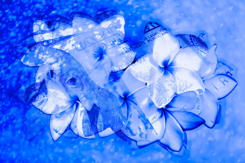 BLUE,      flower     MAGNOLIA     Wall Art     waiting room     us currency     stock market     shimmery     prints     office art     Office     money     metal print     investments     investing     flowers     floral     financial office     financial markets     financial     currency     colorful     canvas print     Canvas     bright lights     bills     benjamins     benjamin franklin     benjamin     art     100 dollar