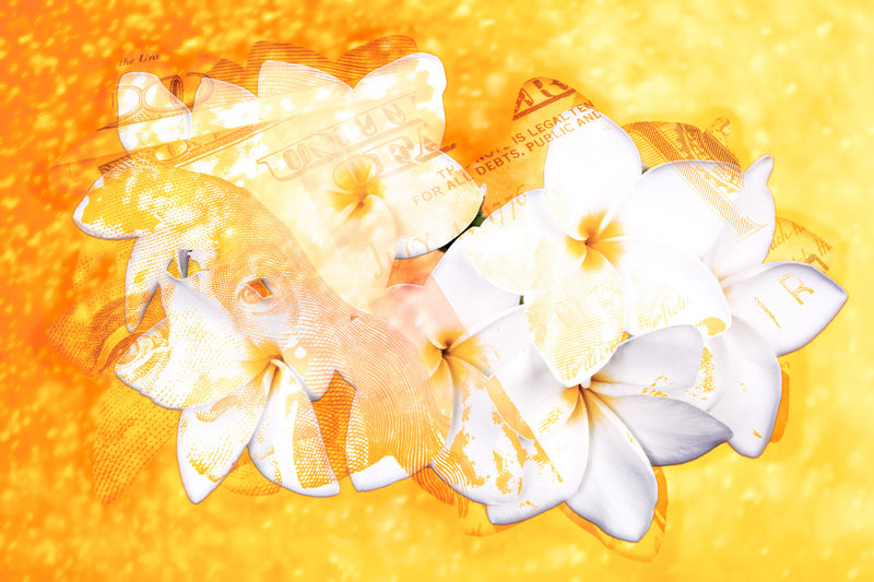      flower     MAGNOLIA     Wall Art     waiting room     us currency     stock market     shimmery     prints     office art     Office     money     metal print     investments     investing     flowers     floral     financial office     financial markets     financial     currency     colorful     canvas print     Canvas     bright lights     bills     benjamins     benjamin franklin     benjamin     art     100 dollar