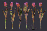Tulip Lovely Lineup with City Cutout & Stethoscope