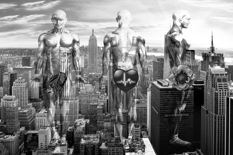      Wall Art     waiting room     vibrant     tulips     surgical center     skyline     relaxing     prints     physician office art     physician     PEACEFUL     office art     Office     modern     metal print     metal     medical offrice     heartbeat     heart     flowers     floral     doctors office     cutout     colorful     city lights     city     canvas print     Canvas     bright airy     bright     art     anatomy     airy