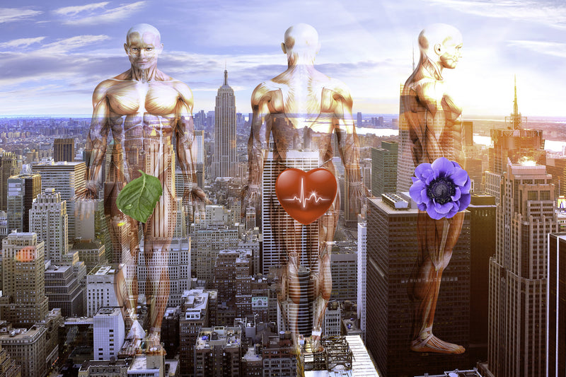      Wall Art     waiting room     vibrant     tulips     surgical center     skyline     relaxing     prints     physician office art     physician     PEACEFUL     office art     Office     modern     metal print     metal     medical offrice     heartbeat     heart     flowers     floral     doctors office     cutout     colorful     city lights     city     canvas print     Canvas     bright airy     bright     art     anatomy     airy