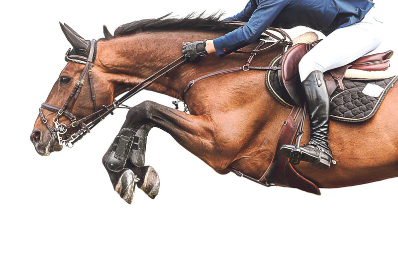 Horse Jump