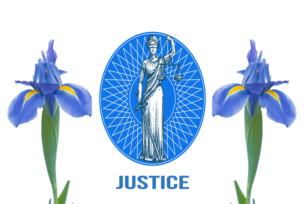      Wall Art     waiting room     Office     metal     legal graphic     law icons     law     justice is blind     justice     iris     icons     flowers     Canvas     bright     Blue     balance     art