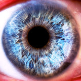 Eye closeup, human eye, detailed, office art, eye doctor, blue, blue eye