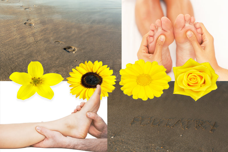      modern     bright airy     sunny     flowers     beach     sand writing     Wall Art     waiting room     vibrant     surgical center     surgeon     silhouette     prints     podiatry     podiatrist     office art     Office     metal print     foot doctor     feet     doctors office     colorful     canvas print     Canvas     bright     art