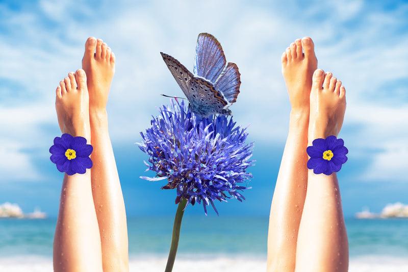  Blue beach chairs butterfly flowers Wall Art waiting room vibrant surgical center prints podiatry podiatrist office art Office modern metal print foot doctor feet doctors office colorful cityscape canvas print Canvas bright airy bright beach art