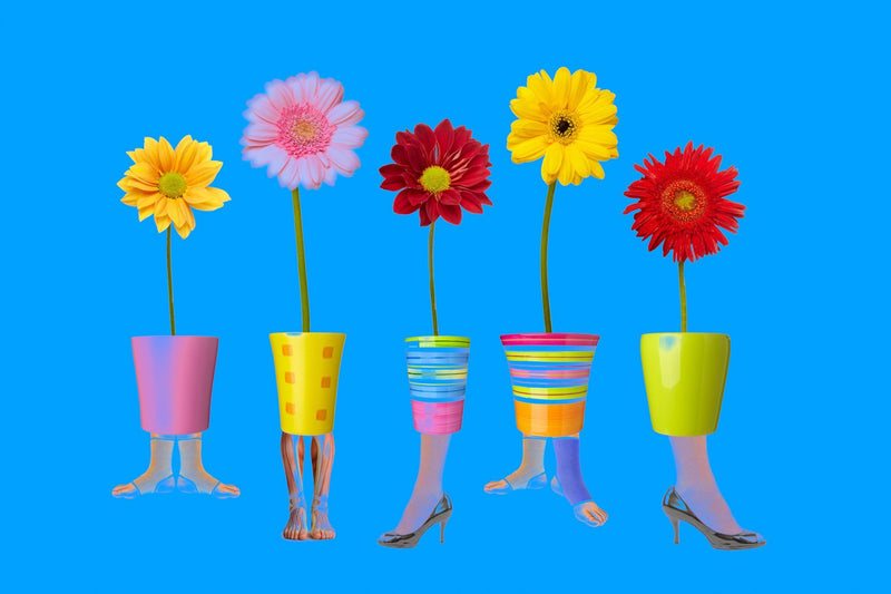 blue,      Wall Art     waiting room     vibrant     surgical center     roots     prints     podiatry     podiatrist     office art     Office     modern     metal print     foot doctor     flowers     flower pots     feet and flowers     feet     doctors office     colorful     cityscape     canvas print     Canvas     bright airy     bright     art