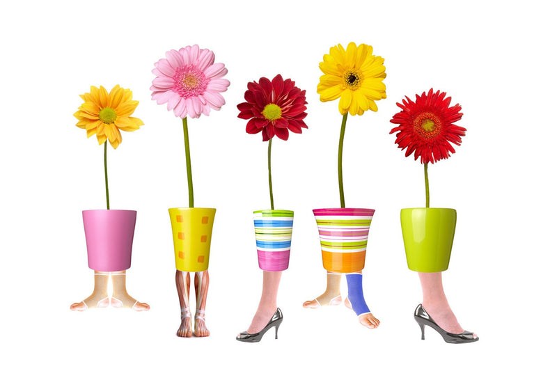 white,      Wall Art     waiting room     vibrant     surgical center     roots     prints     podiatry     podiatrist     office art     Office     modern     metal print     foot doctor     flowers     flower pots     feet and flowers     feet     doctors office     colorful     cityscape     canvas print     Canvas     bright airy     bright     art