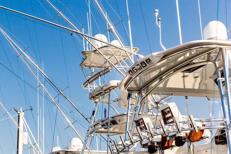 A Great Day for Fishing!