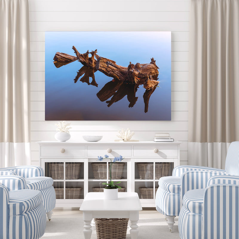 Curvy Tree in a Water Mirror