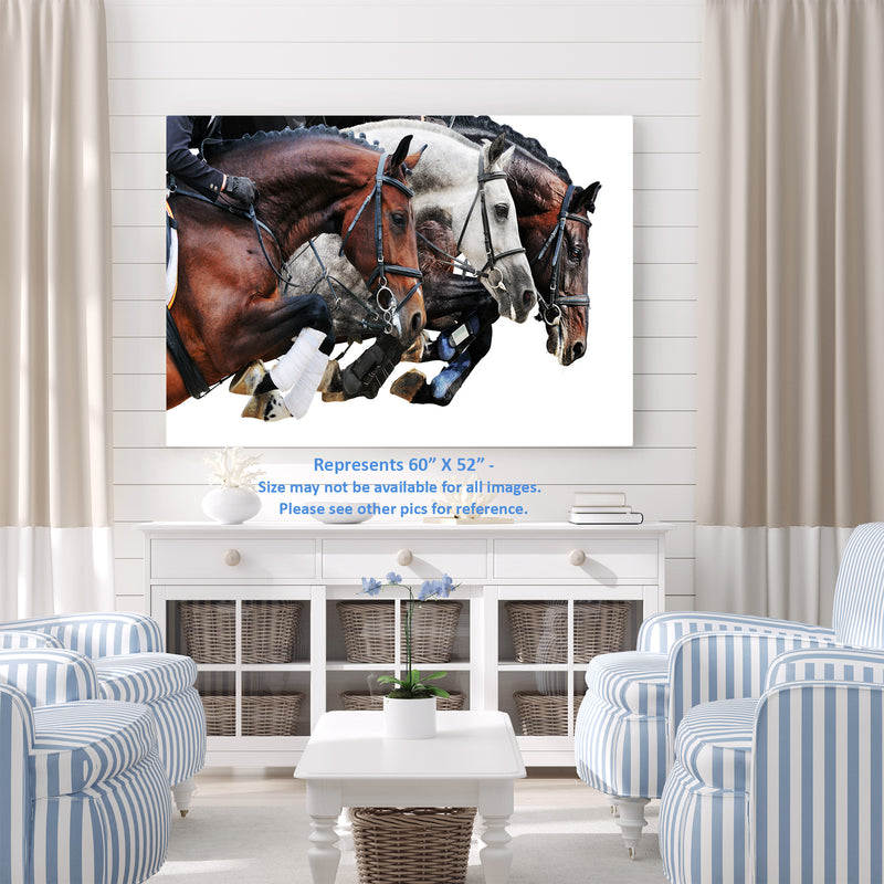 Horse Jump Trio on White