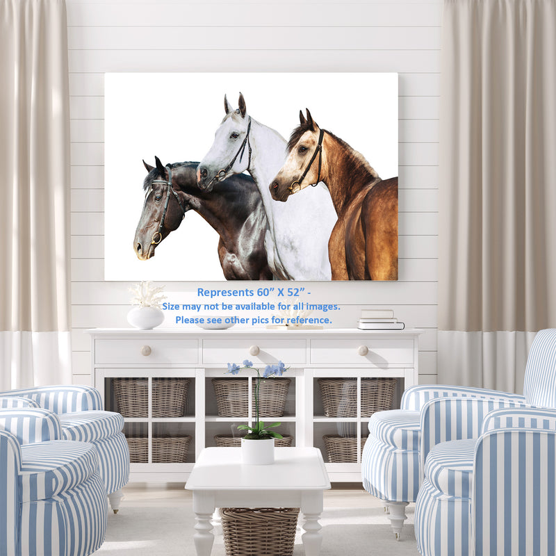 Three Horses Profile on White