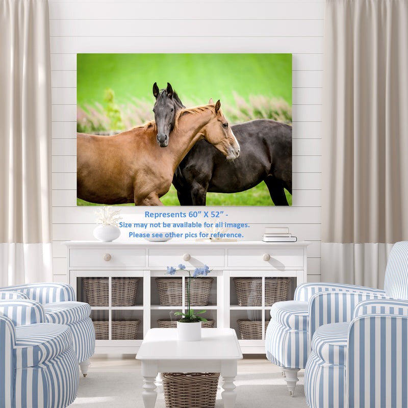 Horse Hugs in a Meadow