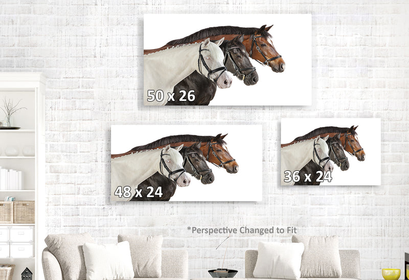 Horse Trio from Right