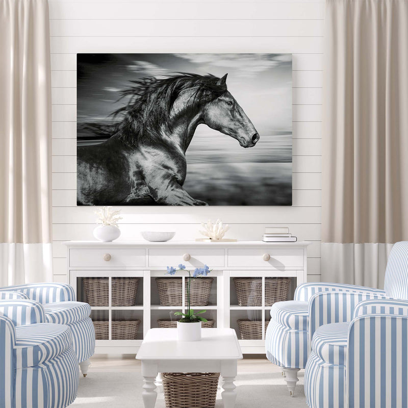 Black Horse Running in the Wind