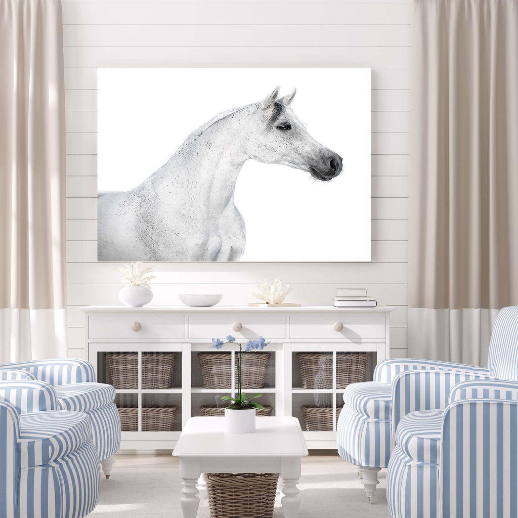 White Horse Profile on White
