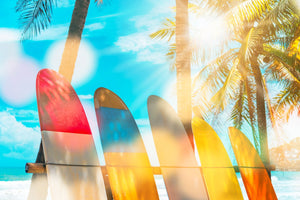 surf boards, sunshine, glowing light, beach front, ocean, gallery wrapped, canvas, wall art