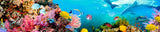 Underseas for My Wall Please, Canvas Wall Aquarium Dolphin