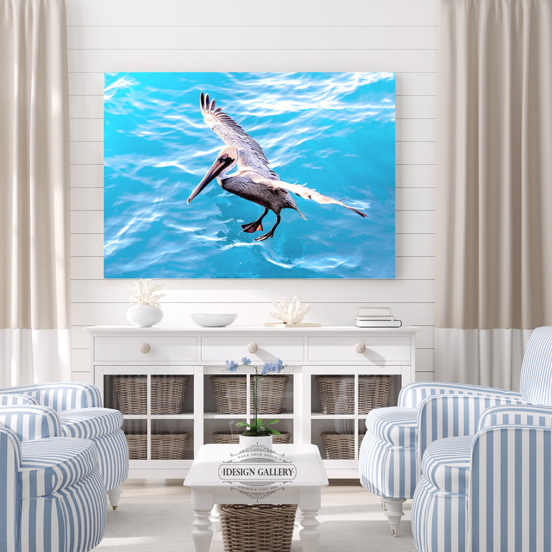 Pelican on the Bubble