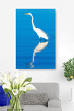 No Regret Great Egret in Blue Water