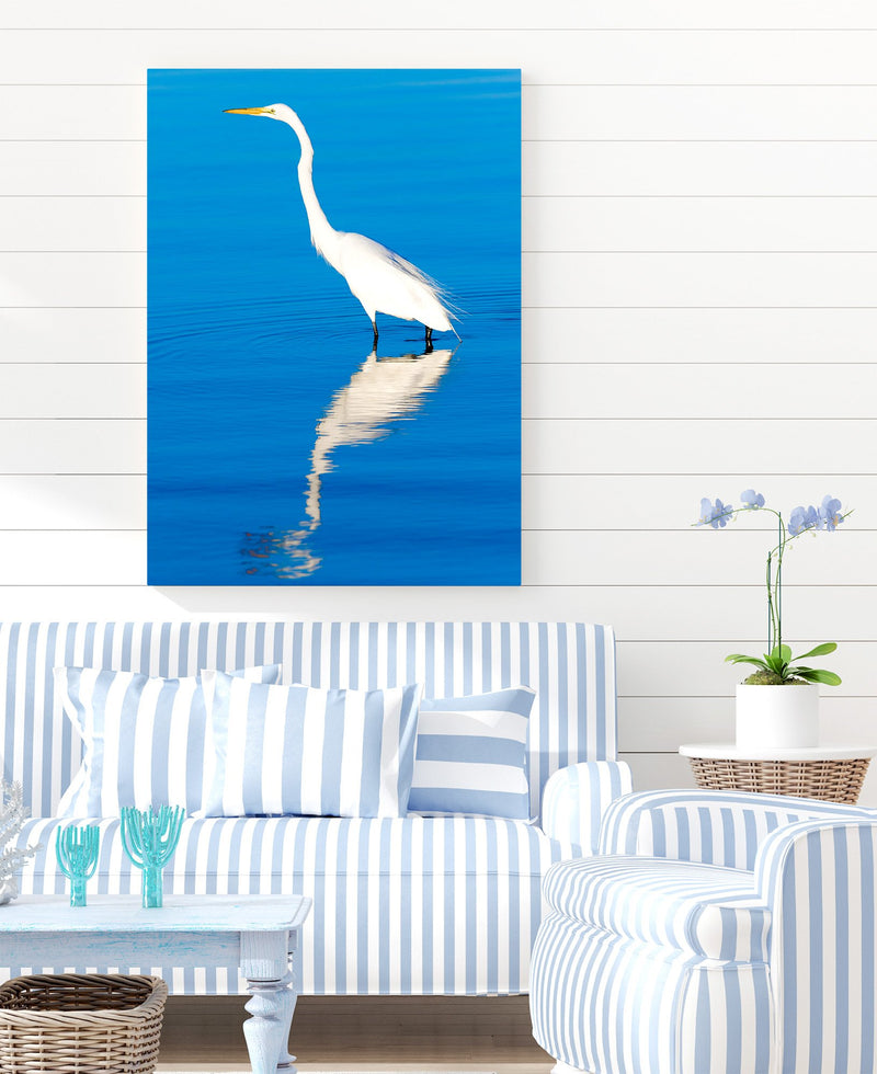 No Regret Great Egret in Blue Water