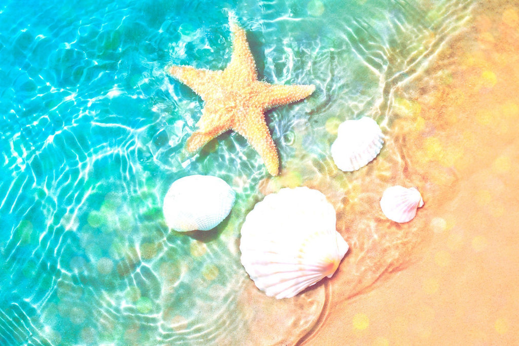 Sand, Beach, Starfish, Shells, Blue, Green, Colorful, Canvas, gallery wrapped, wall decor, wall art, coastal, beach themed, ocean