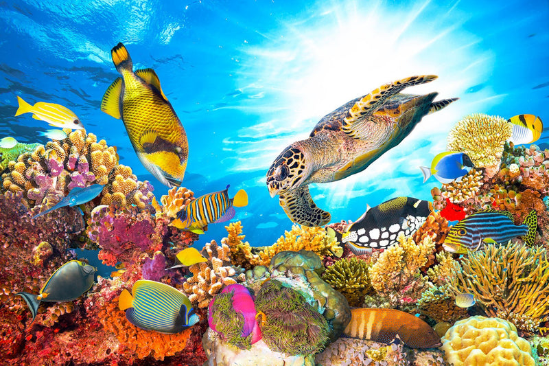 Underseas for My Wall Please, Canvas Wall Aquarium