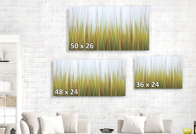 Soft Seagrass