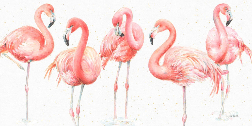 Cinco Flamingo!