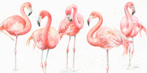 Cinco Flamingo!