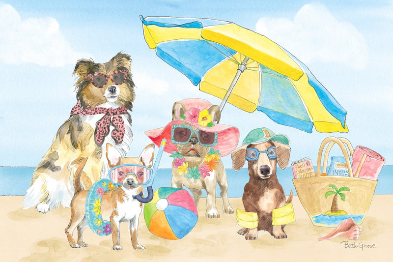 K-9 Cute Beach