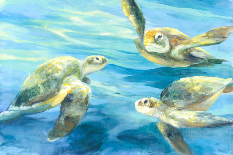 Turtle Trio